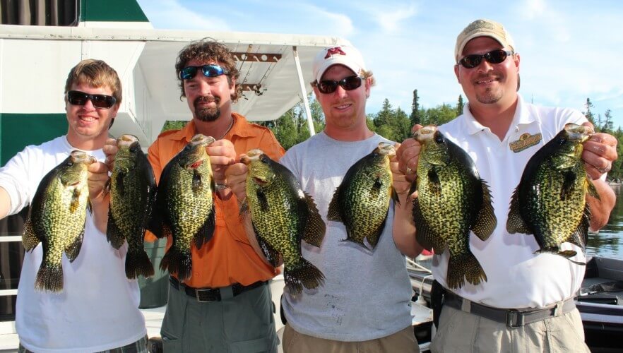 Fishing Rainy Lake Fishing Trips + Information MN