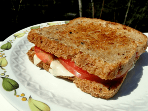 sandwich