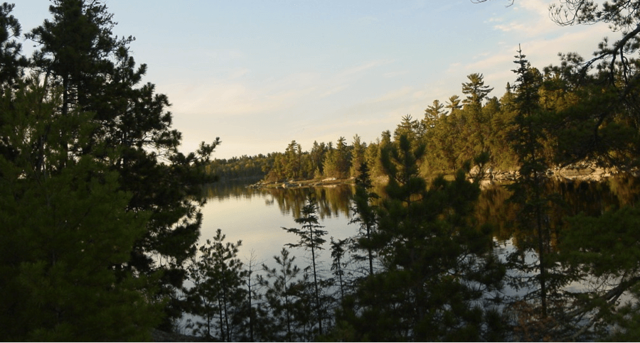 1 storied landscape